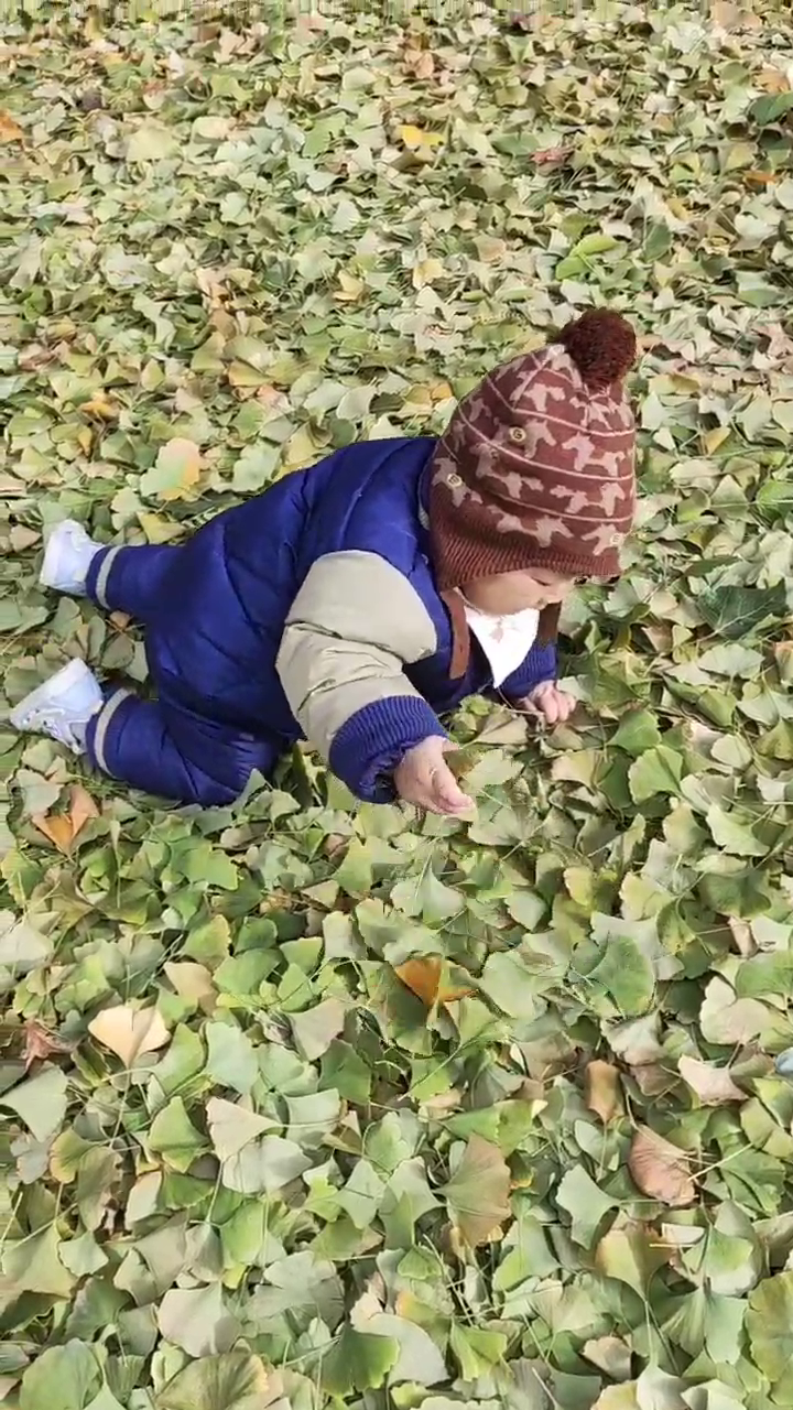 leaf