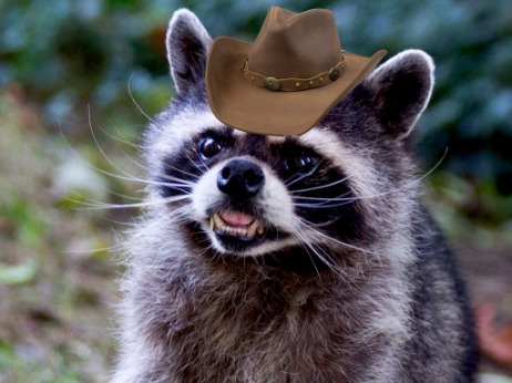 Coony the Kid's avatar