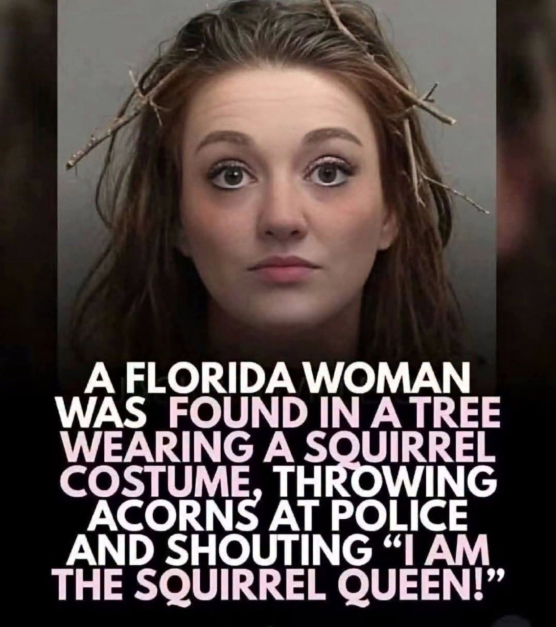 Posted media